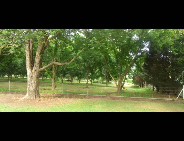 8HA FARM FOR SALE IN WEENEN